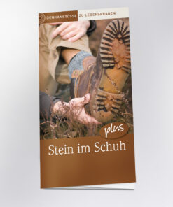 Stein im Schuh