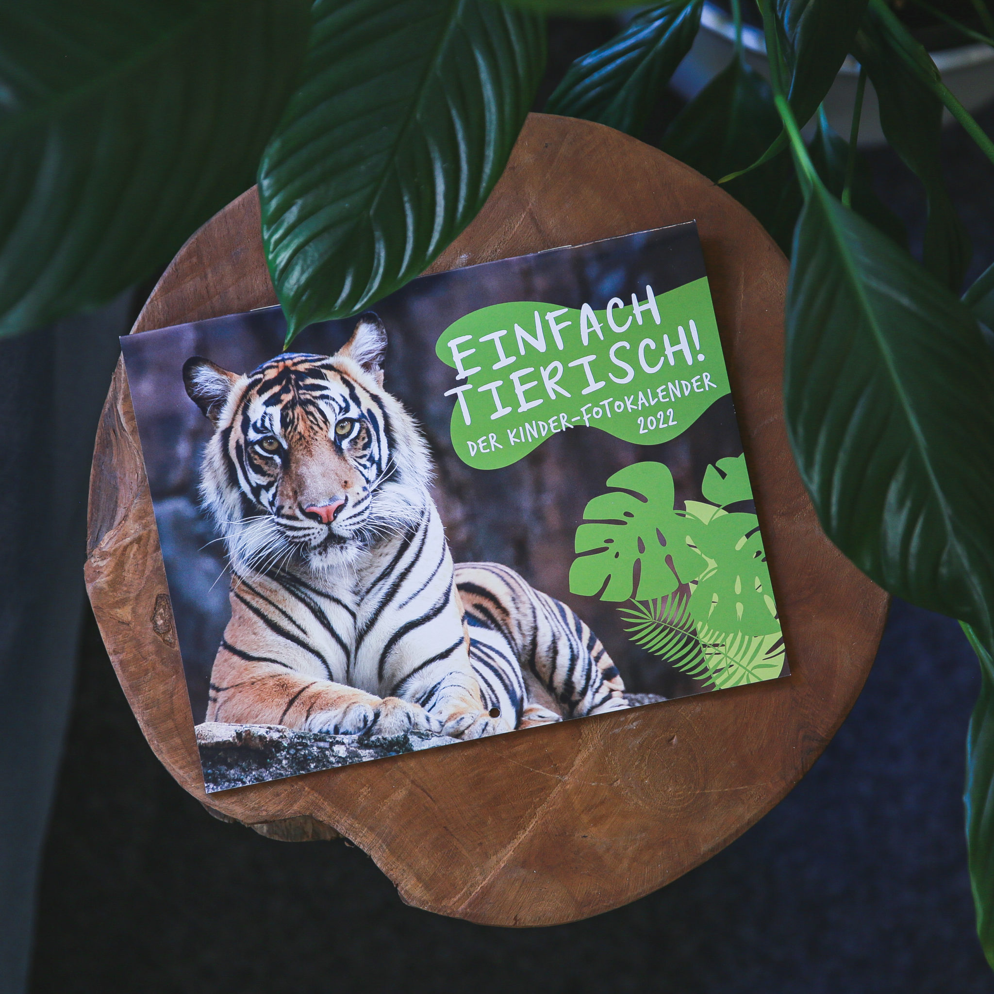 Heukelbach Shop Literatur zur Bibel und Glauben an Jesus Christus